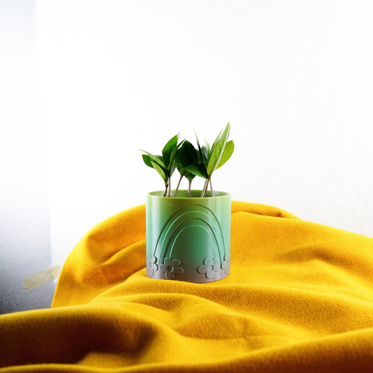 Daisy Rainbow Planter