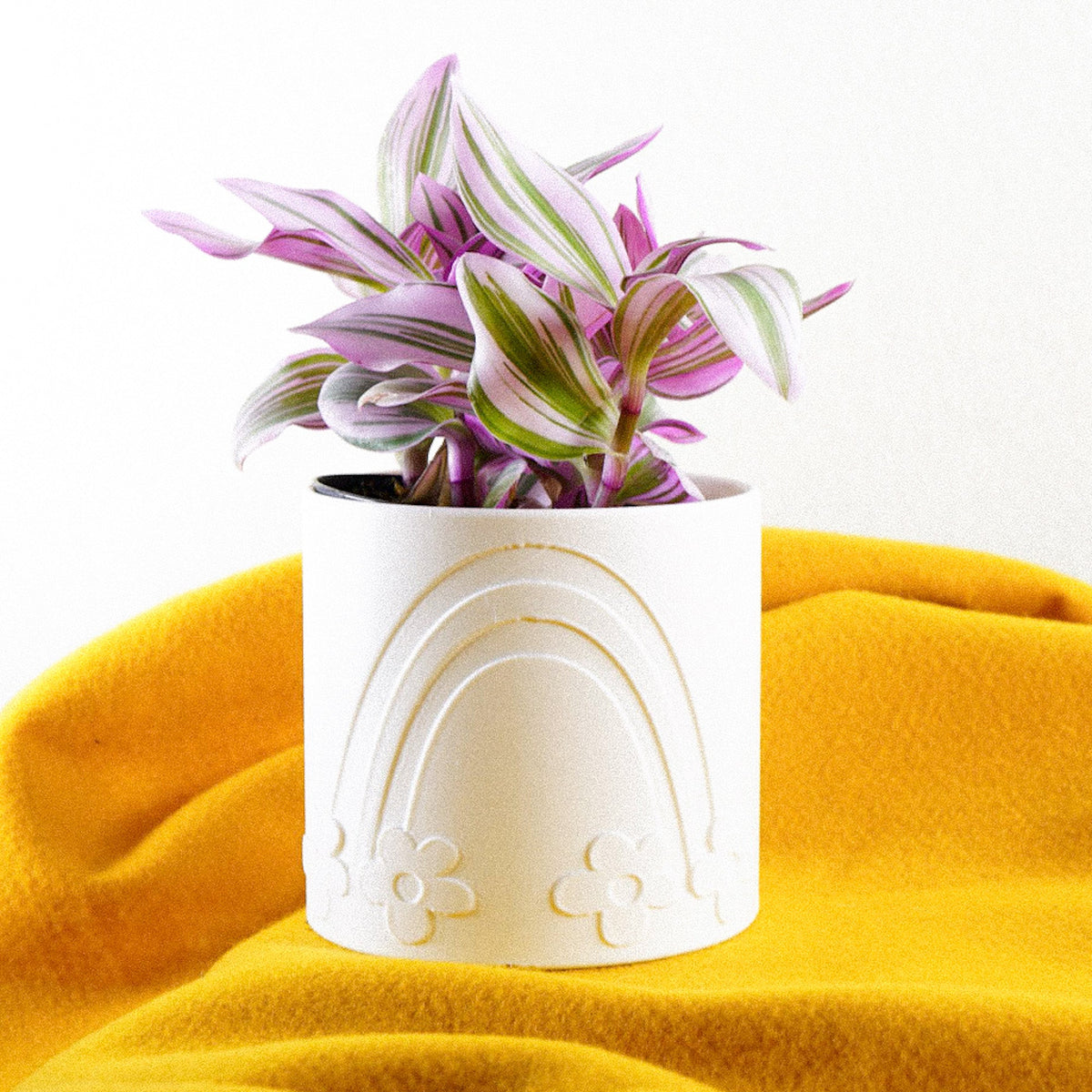 Daisy Rainbow Planter